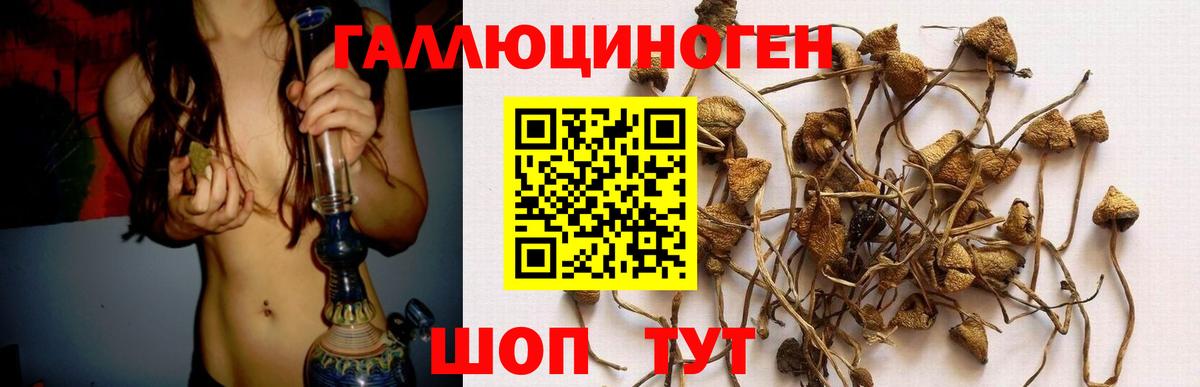 Симферополь  Псилоцибиновые грибы прущие грибы  Вход с VPN 